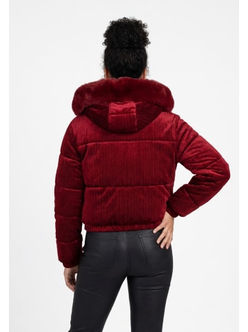 taddy Women Jacket in Burgundy