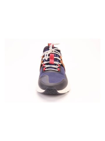 Cole Haan Sneakers C30448 in Mehrfarbig