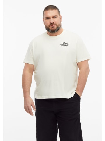 s.Oliver T-Shirt  in  02D2_creme