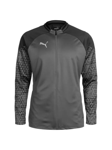 Puma Trainingsjacke TeamCUP in grau