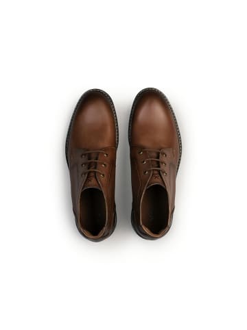 LLOYD Stiefeletten VIBE 325 in cognac