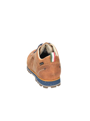 DOLOMITE Wanderschuhe in braun