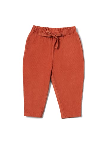 Little Green Radicals Hose aus Bio-Baumwolle und Kord in Orange