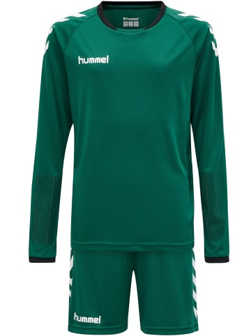 Hummel Anzug Raglanärmel Core Kids Fußball Kinder in EVERGREEN