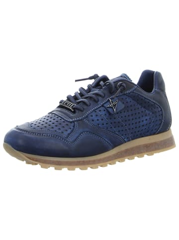 Cetti Sneaker in blau