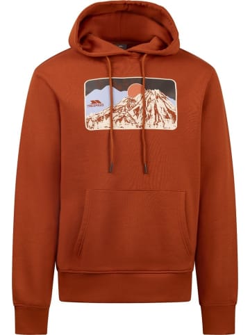 Hoodie "Norton Casual Hoodie" in Orange