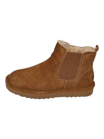 natural world Chelsea Boots DUNE 7310 in braun