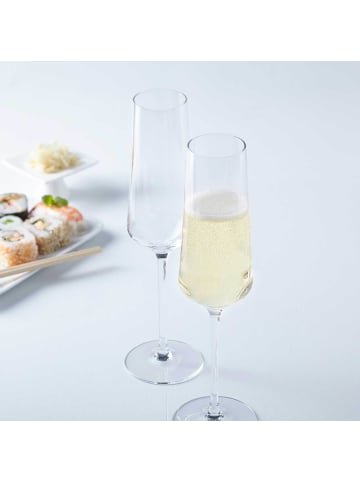 LEONARDO 12er Set Sektgläser Puccini 280 ml transparent in transparent