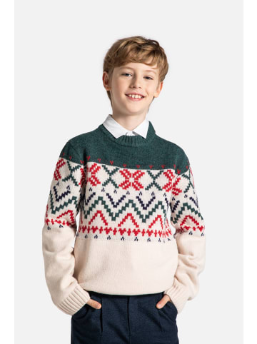 Coccodrillo Strickpullover in bunt