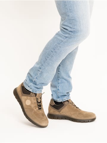 ara Sportlicher Schnürschuh in braun