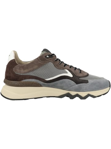 Floris van Bommel Sneaker low De Zager 05.10 in hellgrau