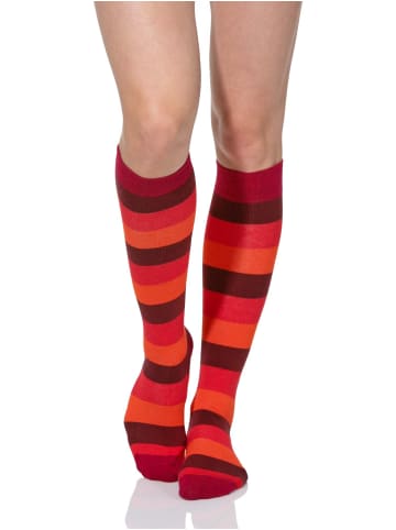 Cotton Prime® Kniestrümpfe 3 Paar, Baumwollkniestrümpfe mit Streifen in Bunt