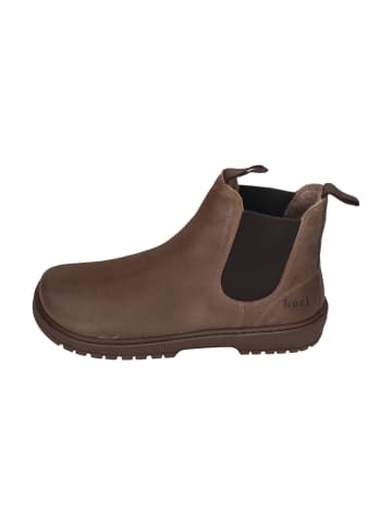 KOEL Chelsea Boots GAVIEN SUEDE FELT in braun
