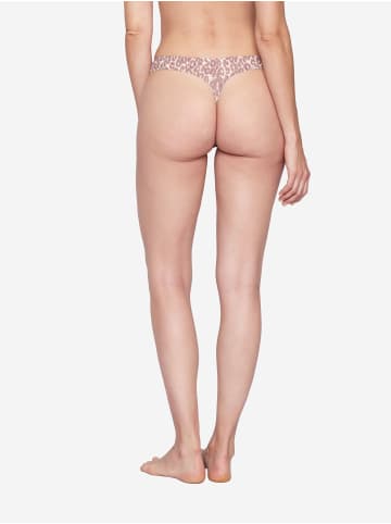 JOOP! String Sensation in Brownie