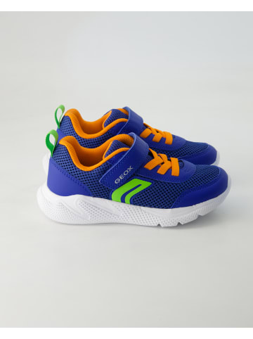 Geox Schnürschuhe in Blau