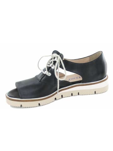 Accatino Sandale in schwarz