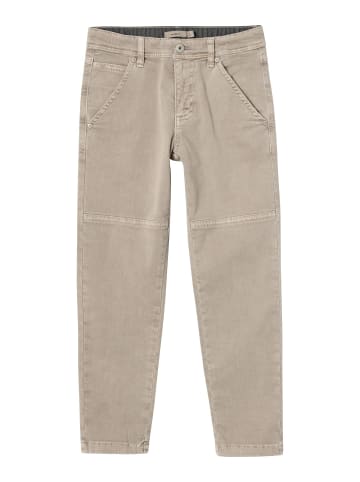 name it Hose in Winter Twig