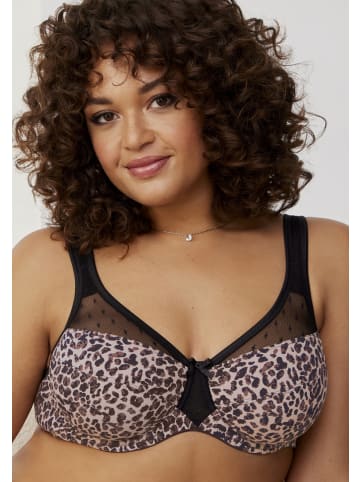 nuance Minimizer-BH in leo-schwarz