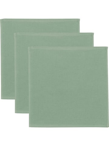 Erwin Müller Baumwolle Spültuch 3er-Pack in jade