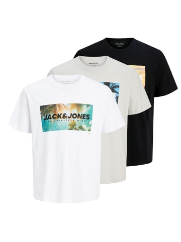 Jack and Jones 3er Pack T-Shirts Indiana Tee Crew-Neck in Mehrfarbig