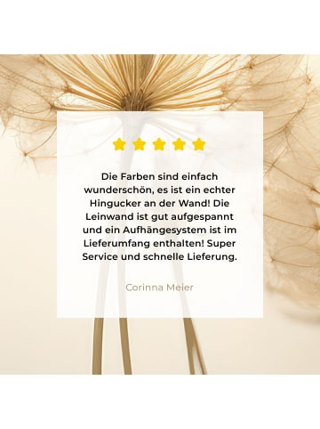 MuchoWow Leinwand bilder Flaum (BxH)