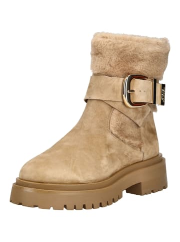 Steve Madden Stiefelette in Tan