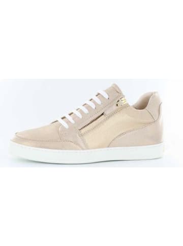 PETER KAISER Sneaker in beige