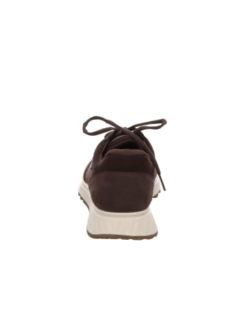 Ecco Sneaker in braun