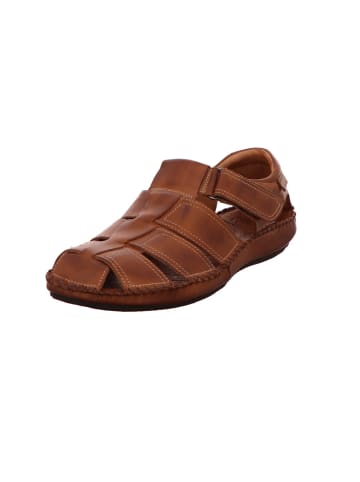 Pikolinos Komfort Sandalen für Herren in mittel-braun