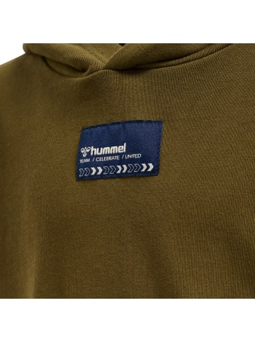 Hummel Kinder Hoodie "Ditmer Hoodie" in Grün