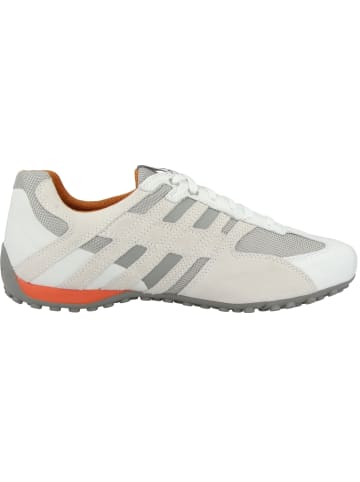 Geox Sneaker low U Snake K in creme