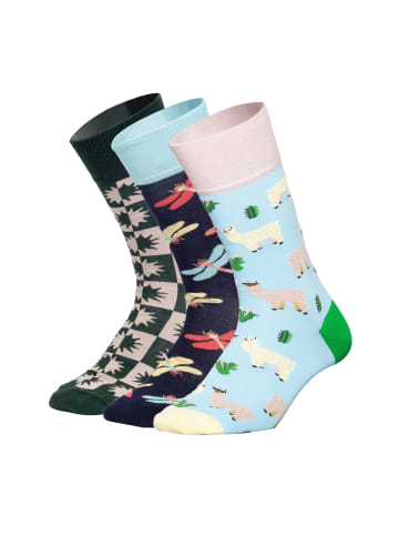 DillySocks Socken Alpaca Farm in Mehrfarbig
