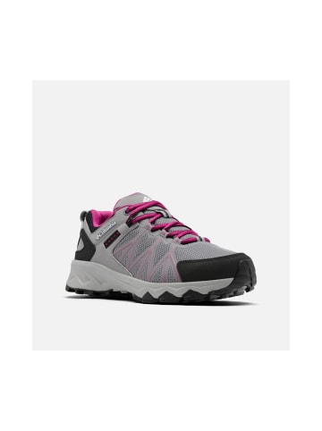 Columbia Turnschuhe Peakfreak in Grau