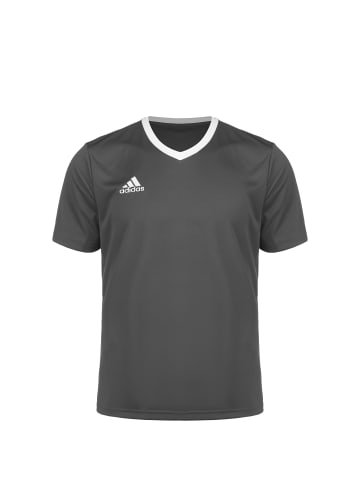 adidas Performance Trikot Entrada 22 in grau / weiß