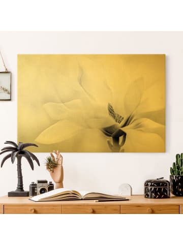 WALLART Leinwandbild Gold - Zarte Magnolienblüte schwarzweiß in Schwarz-Weiß