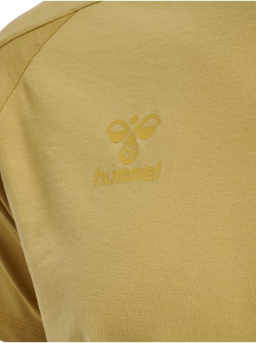 Hummel T-Shirt Raglanärmel Hmlcima Erwachsene in ANTIQUE GOLD