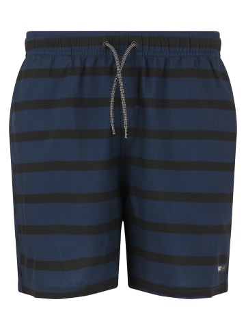 Cruz Badeshorts Danyel in Print 3682 Navy Stripe