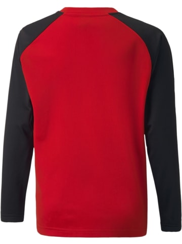 Puma Pullover "TeamLIGA Training Sweat Jr" in Rot
