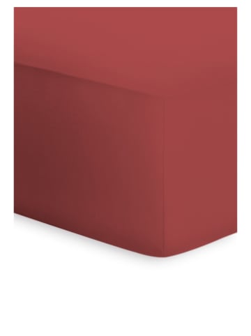 Bassetti Spannbettlaken BOXSPRING in rosso siena