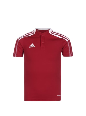 adidas Performance Poloshirt Tiro 21 in rot / weiß