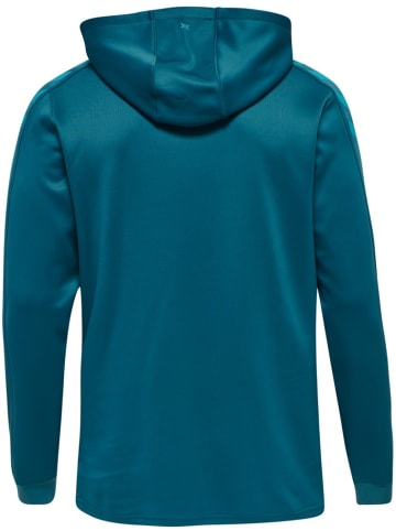 Hummel Hoodie in Blau