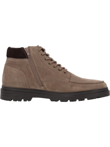 Palado Klassische Stiefel Larna in Taupe