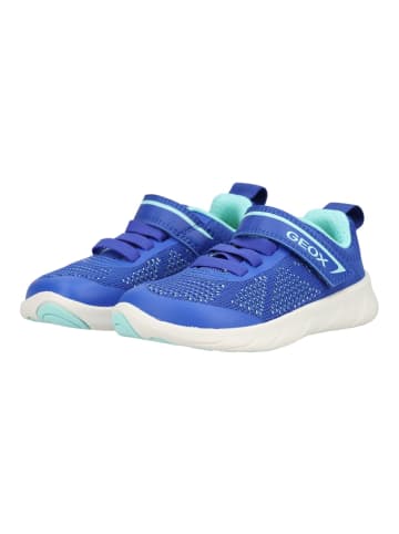 Geox Sneaker FOOT-RUN FOOT-RUN in Royal