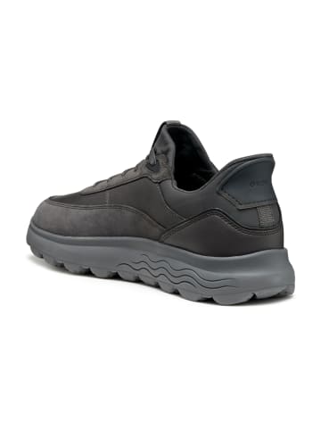 Geox Klassische Schnürschuhe in Grau