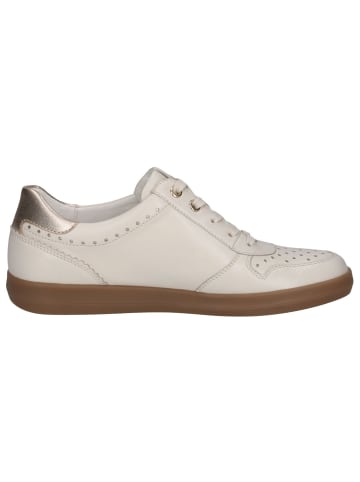 Caprice Sneaker in VANILLA COMB