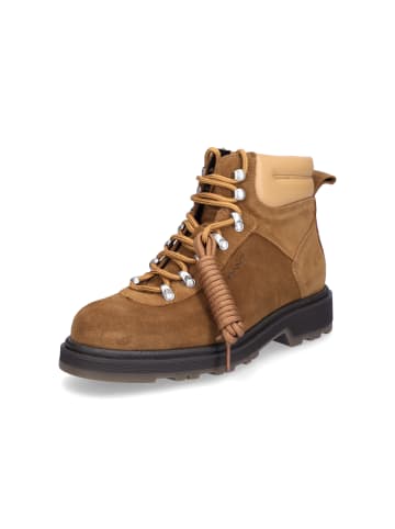 GANT Footwear Schnürboot Wootlynne in Cognac