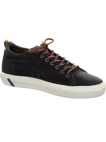 Floris van Bommel Sneaker in blau