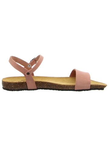 Plakton Sandale in rosa