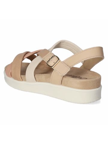 Beliana Sandalette in taupe