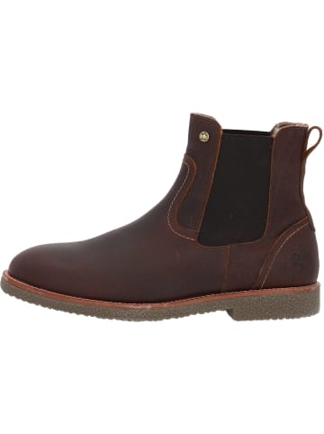 PANAMA JACK Chelsea Boots in Castano/Chestnut